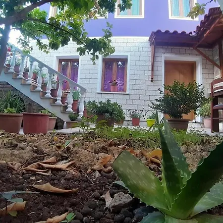 Appartement Ilia Gloria House